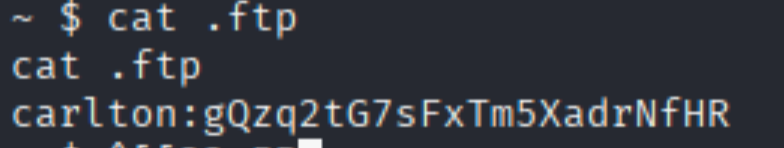 execute commmand cat .ftp