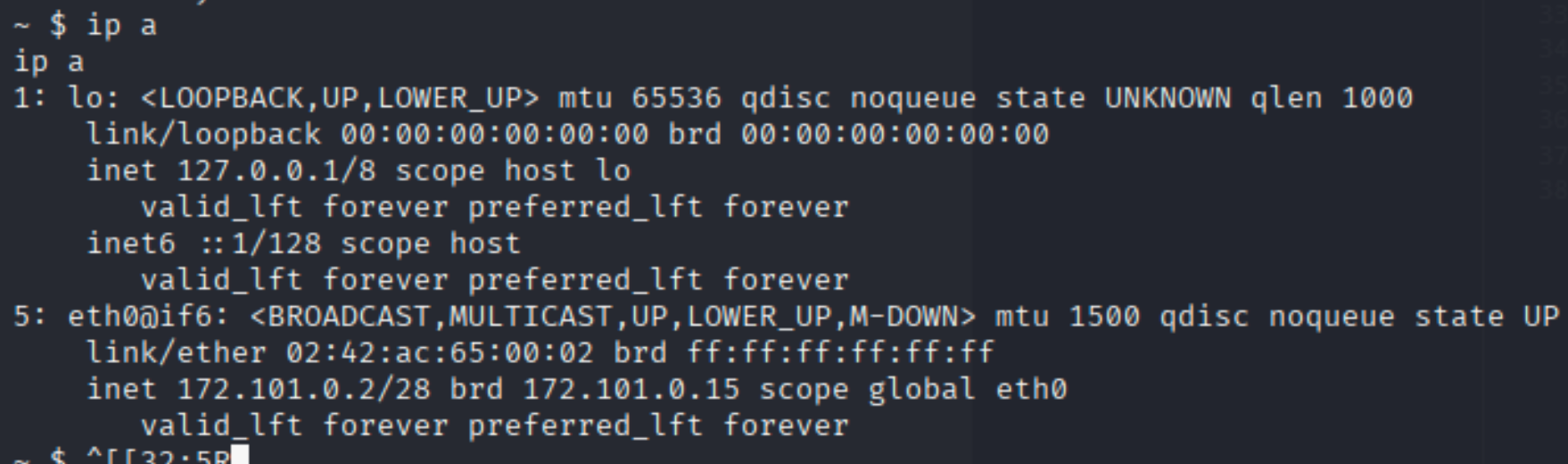 execute command ip a