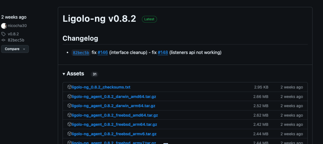 github page - ligolo-ng