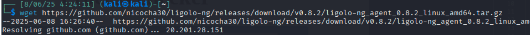 execution of wget command