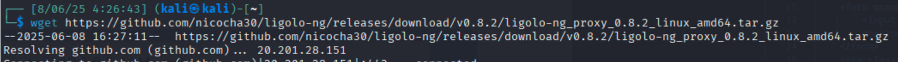 execution of wget command