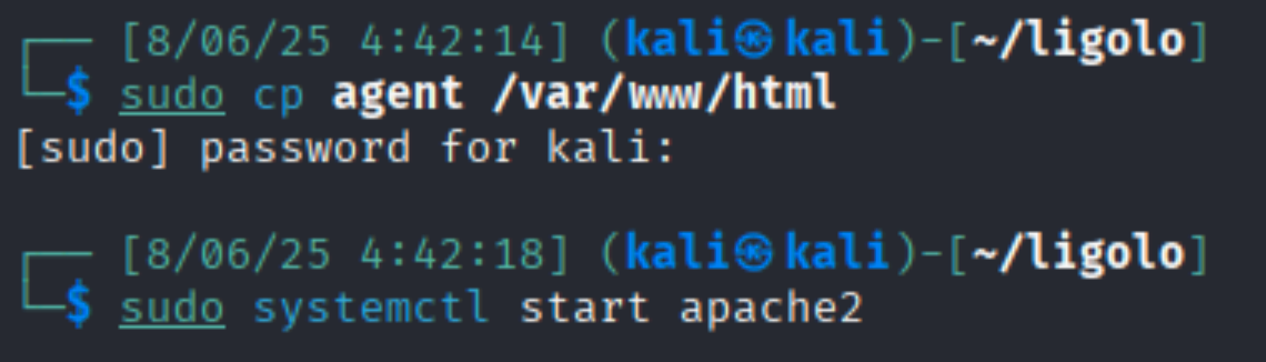 copy agent to /var/www/html