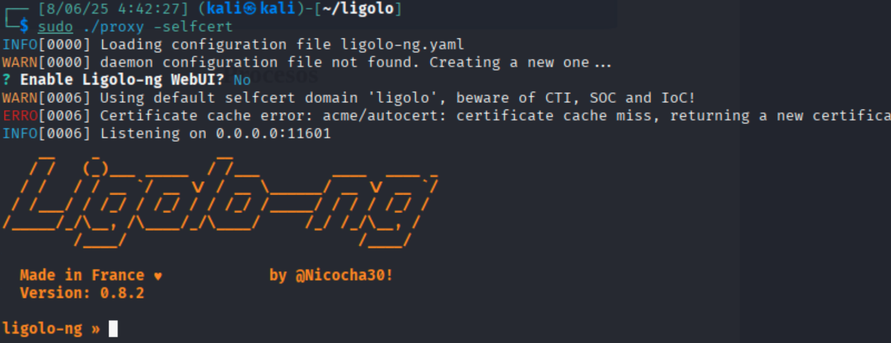 execute proxy