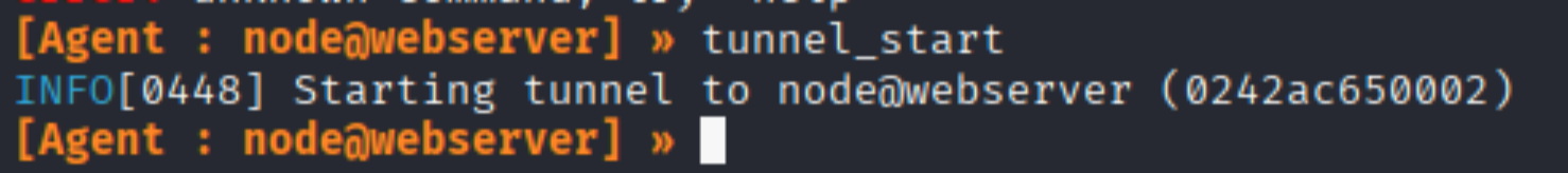 execute tunnel_start